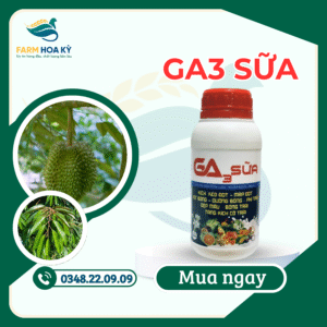 Ga3 sữa