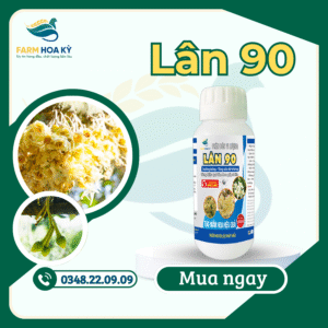 LÂN 90