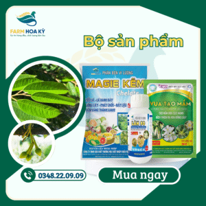 Bộ sản phẩm 1
